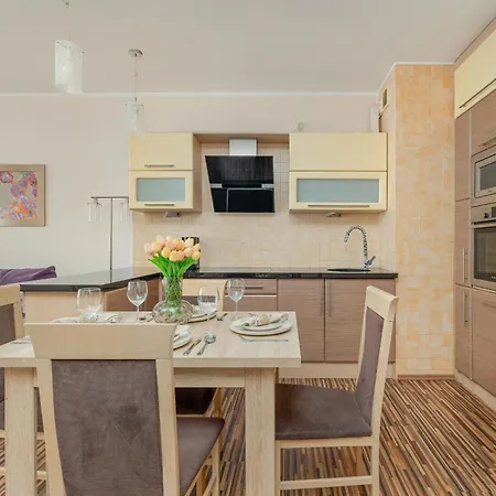 아파트 Spacious With Balcony In Center By Renters 슈비노우이스쳬