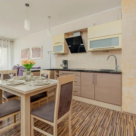 Spacious With Balcony In Center By Renters 아파트 슈비노우이스쳬